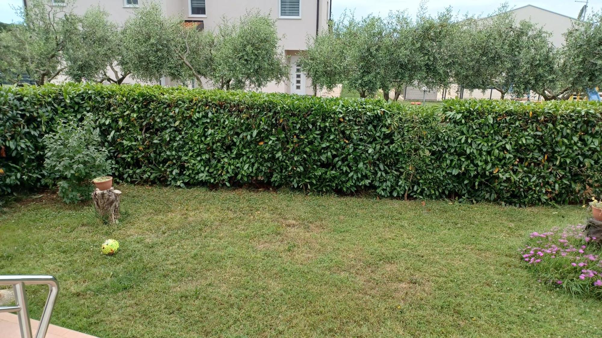 Apartments Villa Adamovic อูมัค ภายนอก รูปภาพ